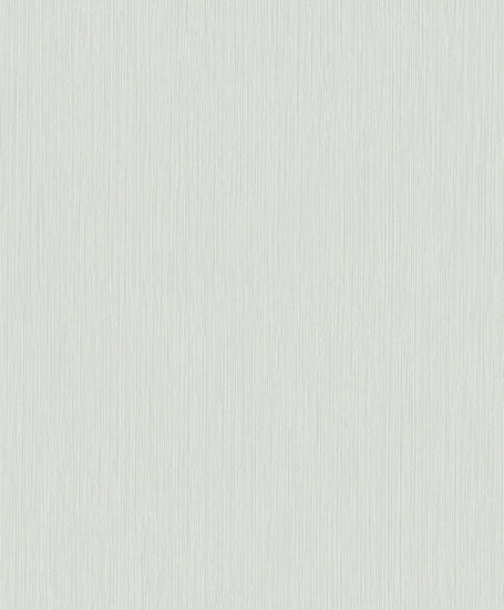 HookedOnWalls New Wave 24818 Behang