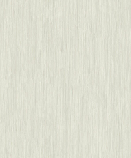 HookedOnWalls New Wave 24819 Behang