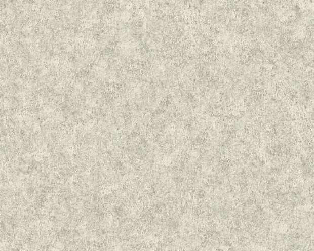AS Creation Beton Behang 36207-5 / 362075 - Beige Behang