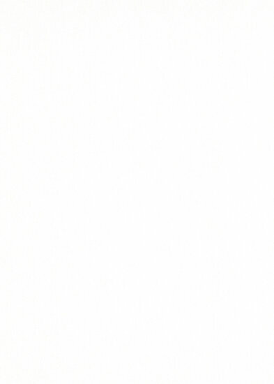 Behang Expresse Erismann Elle Decoration 10171-01 Behang