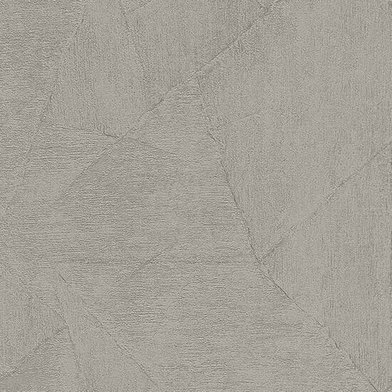 Dutch Wall Decor Opus EV101837 Taupe Behang