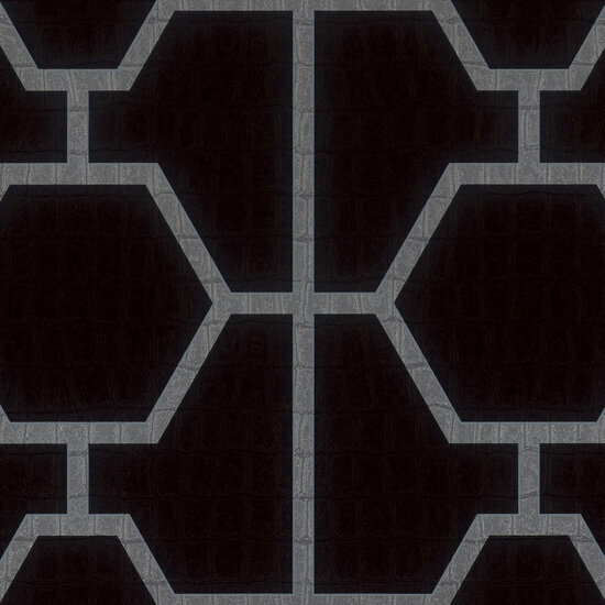 Dutch Wall Decor Philipp Plein Z80024 Zwart / Grijs Behang