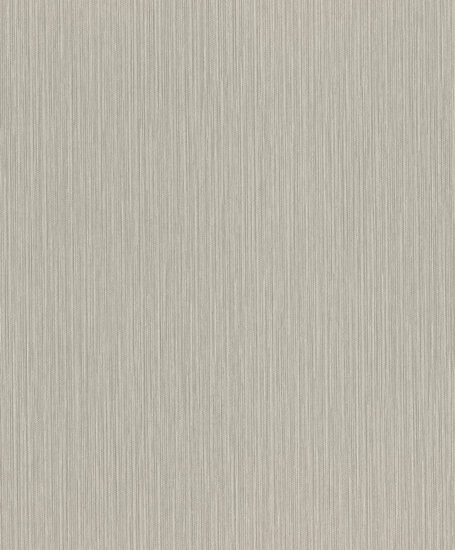 Rasch Curiosity 537680 Behang