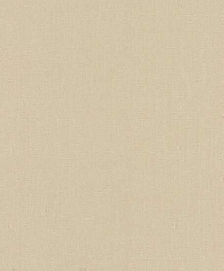 Rasch Color Your Life 633689 Behang