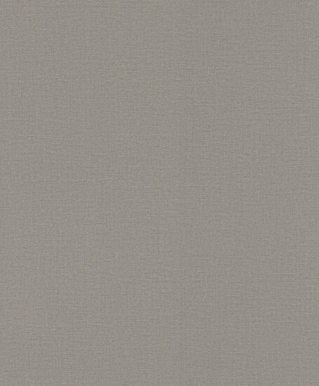 Rasch Lirico 555875 Behang
