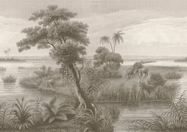 Rasch Lirico 556155 Behang