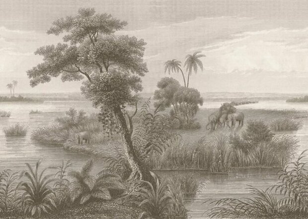 Rasch Lirico 556162 Behang