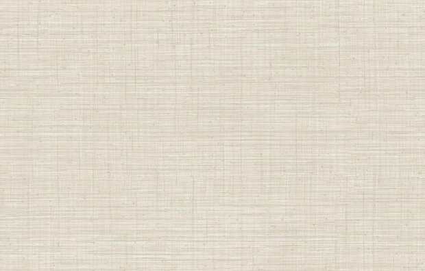 Arte JV800 Tierra UNITO TIERRA 6650 Behang