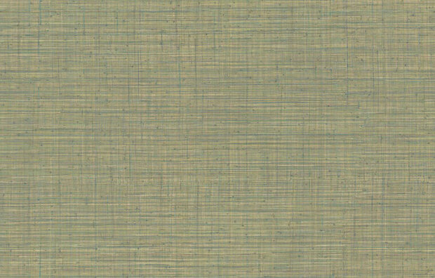 Arte JV800 Tierra UNITO TIERRA 6654 Behang