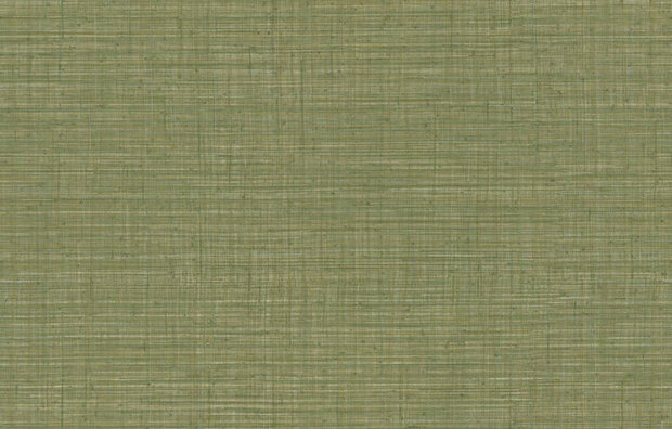 Arte JV800 Tierra UNITO TIERRA 6655 Behang