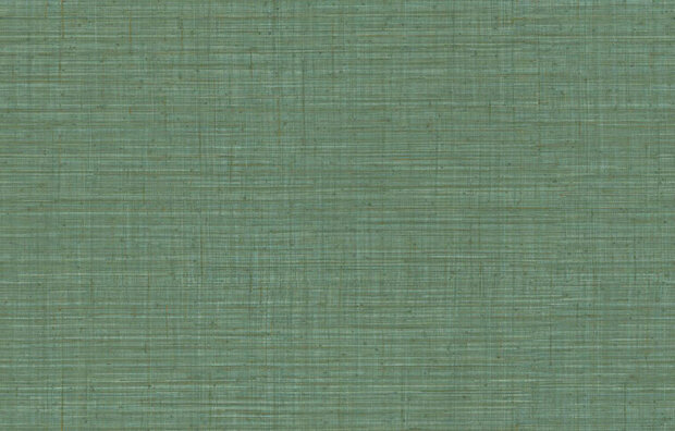 Arte JV800 Tierra UNITO TIERRA 6656 Behang