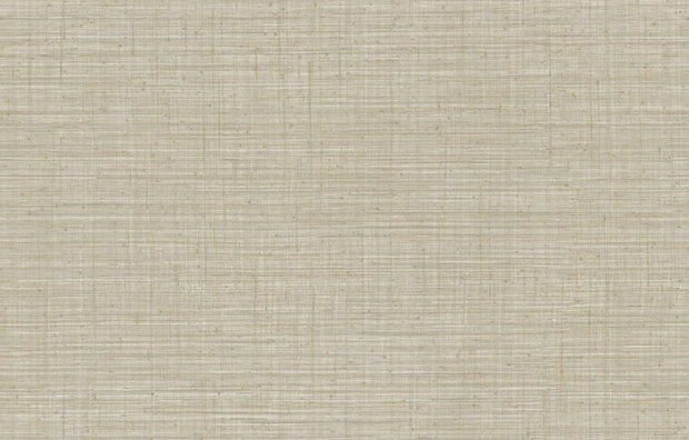 Arte JV800 Tierra UNITO TIERRA 6658 Behang