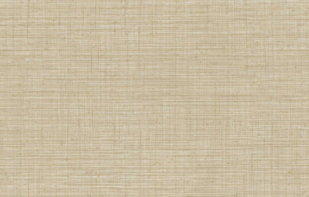 Arte JV800 Tierra UNITO TIERRA 6659 Behang