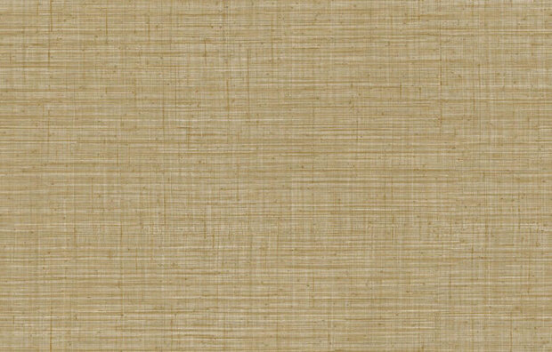 Arte JV800 Tierra UNITO TIERRA 6660 Behang