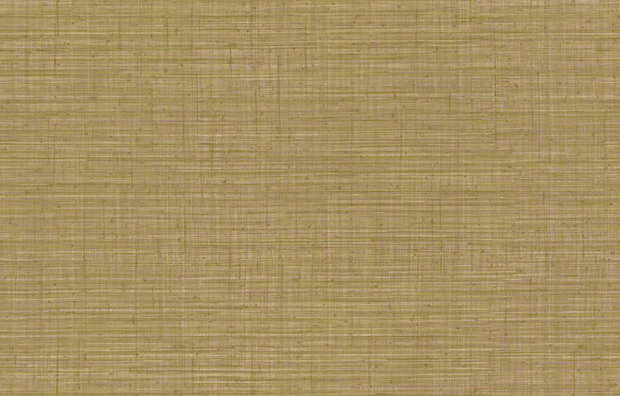 Arte JV800 Tierra UNITO TIERRA 6661 Behang