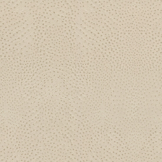 Rasch African Queen 3 - 751512 Beige Behang