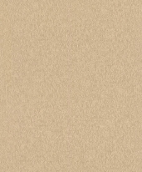 Rasch African Queen 3 - 752694 Beige Behang