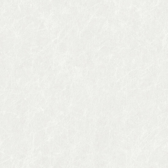 Dutch Wallcoverings Tapestry TP422901 Linen White Behang