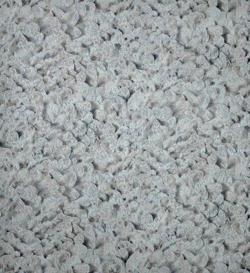 HookedOnWalls LIAISON LUNARIA 46311 Behang