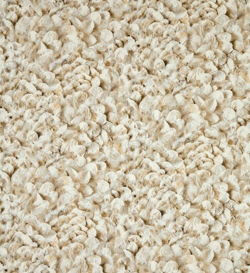 HookedOnWalls LIAISON LUNARIA 46313 Behang