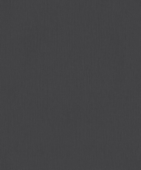 BN Wallcoverings Monochrome 221402 Zwart Behang