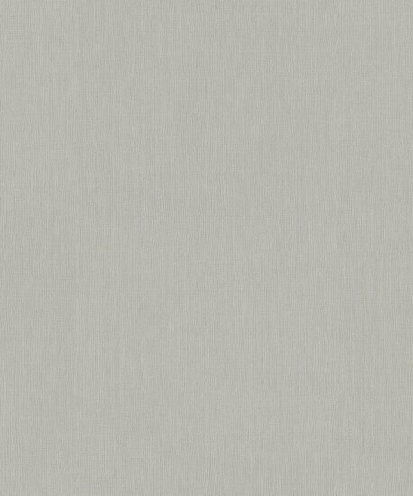 BN Wallcoverings Monochrome 221407 licht grijs Behang