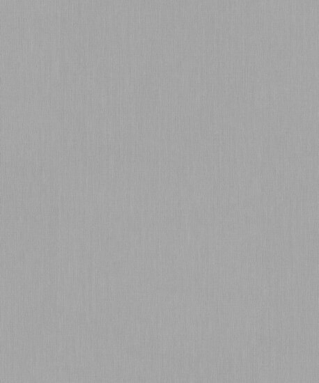 BN Wallcoverings Monochrome 221419 Grijs Behang