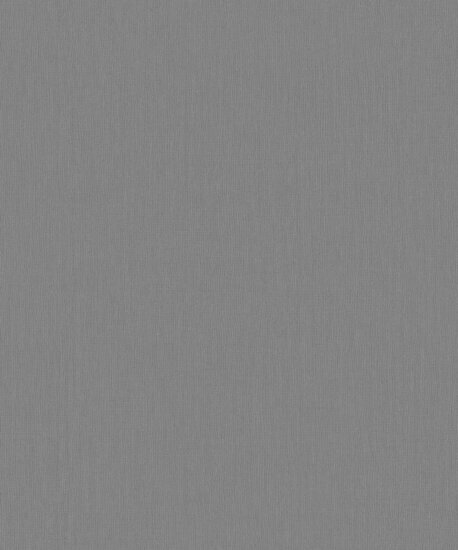 BN Wallcoverings Monochrome 221420 Grijs Behang