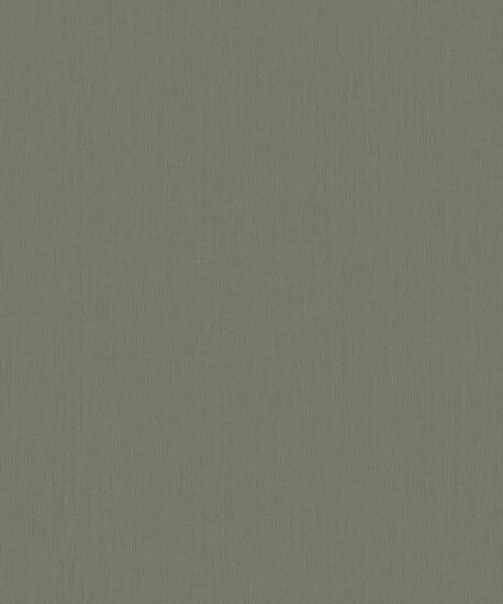 BN Wallcoverings Monochrome 221423 Behang