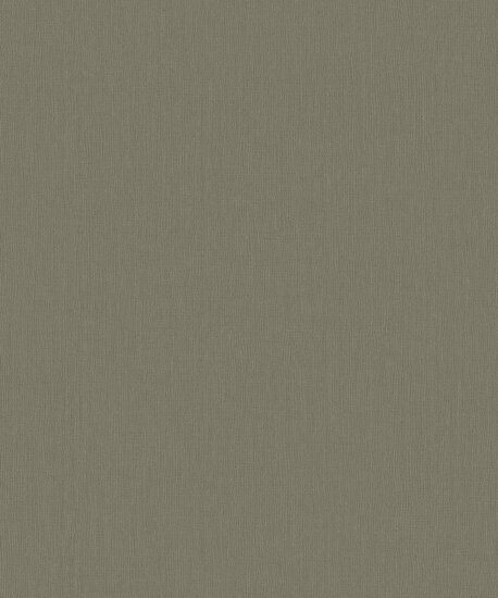 BN Wallcoverings Monochrome 221424 Bruin Behang