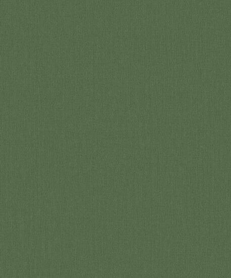 BN Wallcoverings Monochrome 221442 Groen Behang