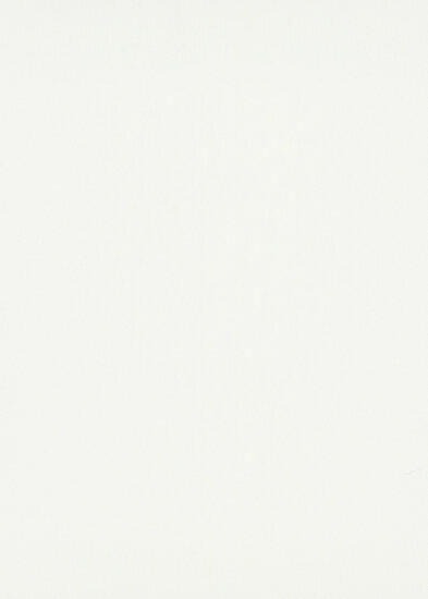 Dutch Wall Decor Erismann Elle Decoration 3 10335-01 Wit Behang