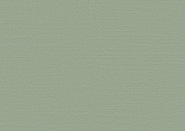 Arte Birds of Paradise SILKY BOP301 Behang