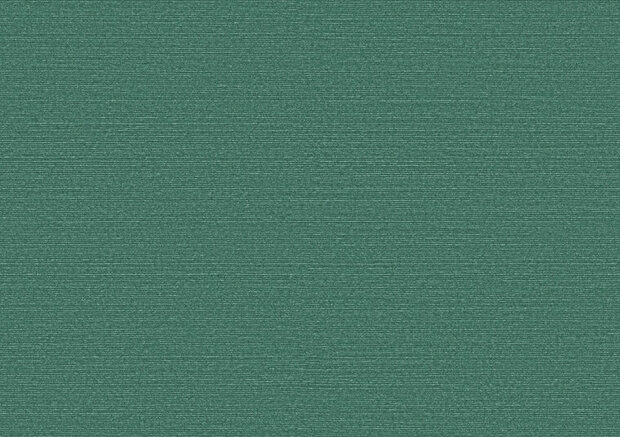 Arte Birds of Paradise SILKY BOP315 Behang