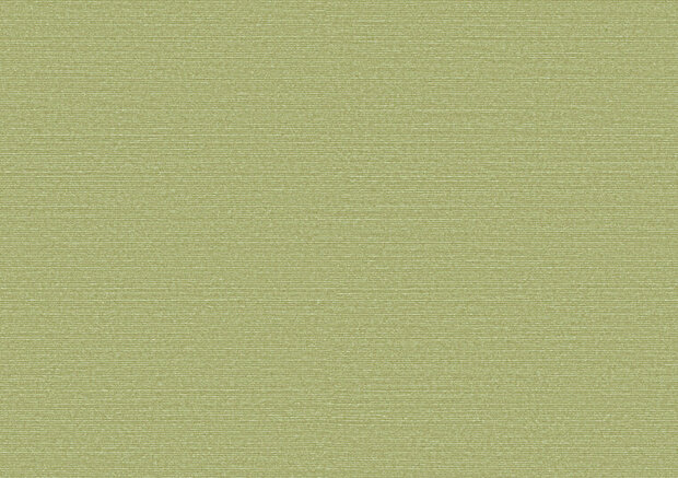 Arte Birds of Paradise SILKY BOP317 Behang