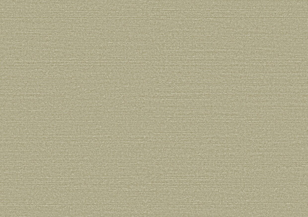 Arte Birds of Paradise SILKY BOP318 Behang