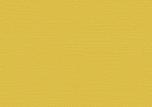 Arte Birds of Paradise SILKY BOP322 Behang