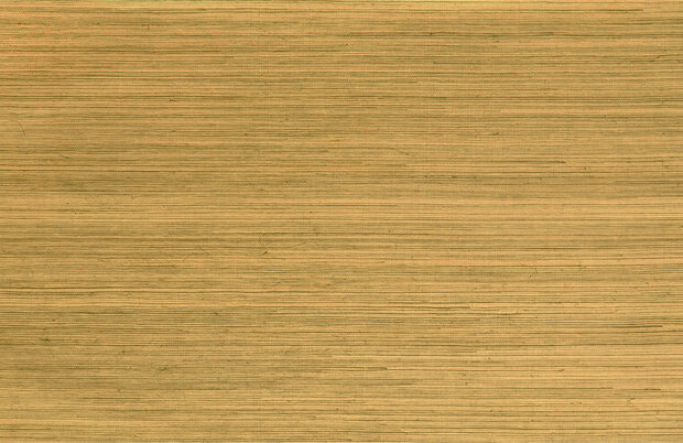 Arte Marqueterie LINE 80710A Behang