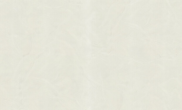 Dutch First Class Blumarine 5 29007 Behang