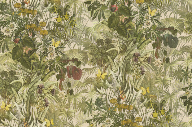 Dutch First Class Blumarine 5 29043 Behang