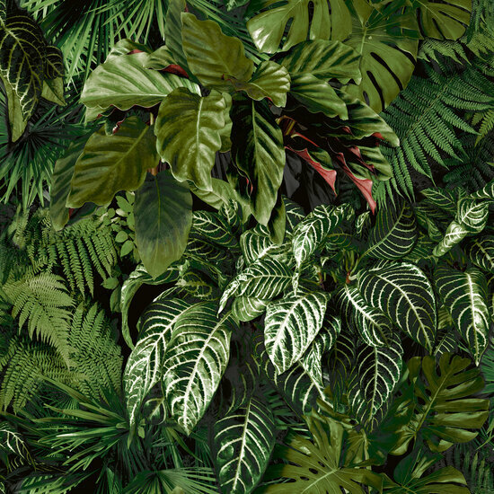 Dutch Wallcoverings Ciara A58601 groen Behang