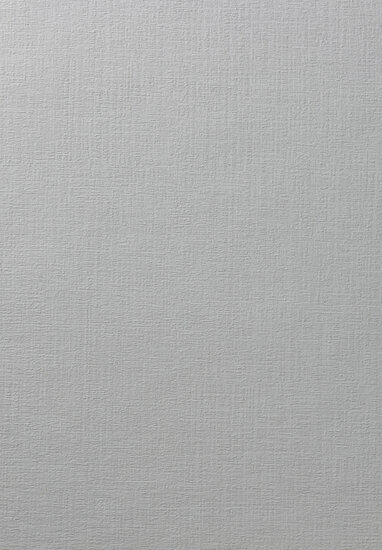 HookedOnWalls Passe Partout 2024 - 89511 Behang