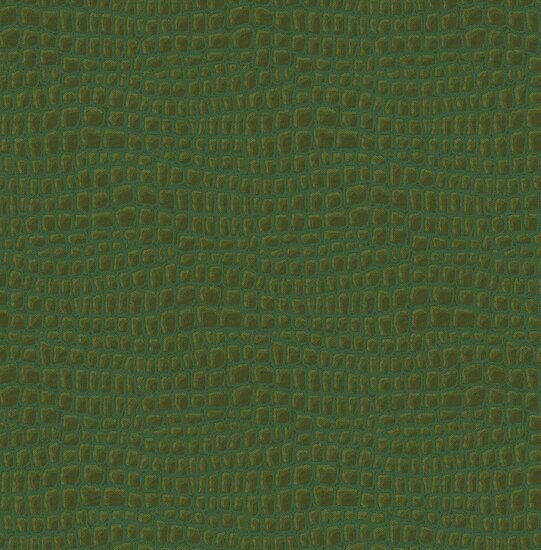 Dutch First Class Amazon River AR1907 Groen Behang