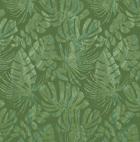 Dutch First Class Amazon River AR6607 Groen Behang