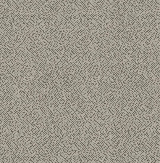 Dutch First Class Amazon River AR7005 Beige Behang