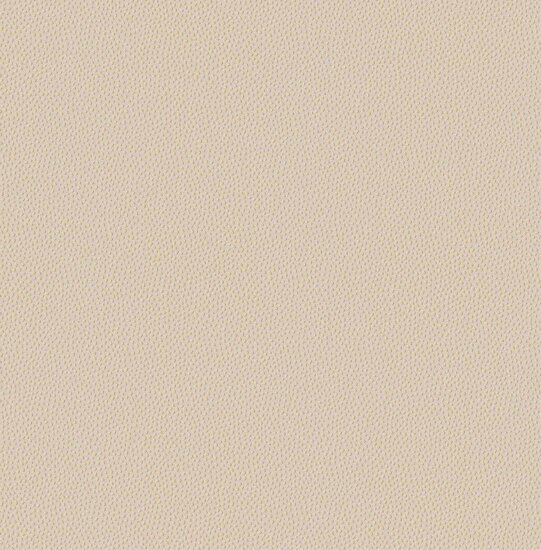 Dutch First Class Amazon River AR7009 Beige Behang