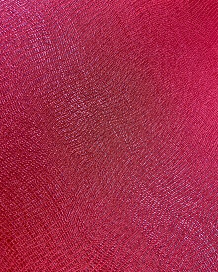 Dutch First Class Amazon River AR9101 Rood Behang