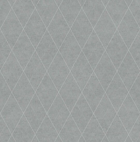 Dutch First Class Euphorie Grijs/zilver EF2008 Behang