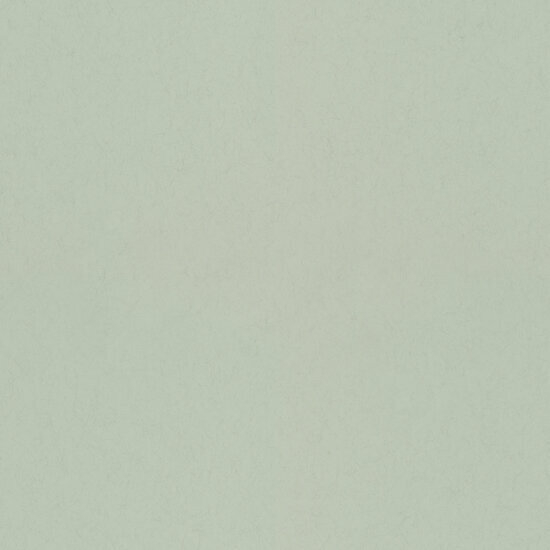 Dutch First Class Midbec Kul&ouml;r FC77003 Behang