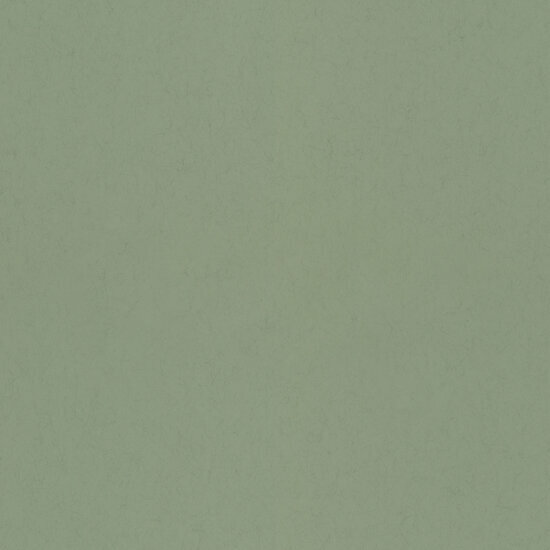 Dutch First Class Midbec Kul&ouml;r FC77006 Behang